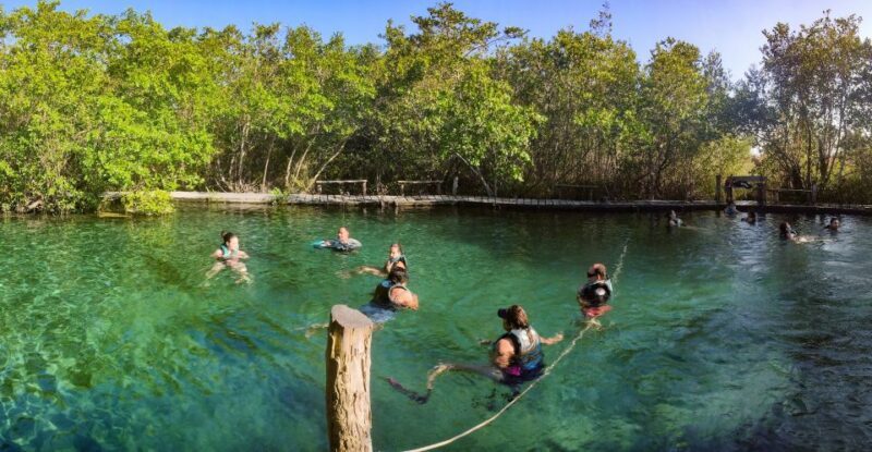 From Cancun or Puerto Morelos: Holbox Boat Tour with Lunch - A Deep Dive into the Holbox Boat Tour