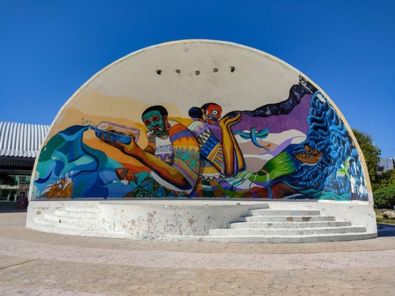 From Cancun or Puerto Morelos: Holbox Boat Tour with Lunch - Who Will Love This Tour?