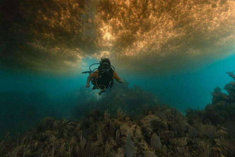 From Cancun: Puerto Morelos Diving Adventure - Why Puerto Morelos?