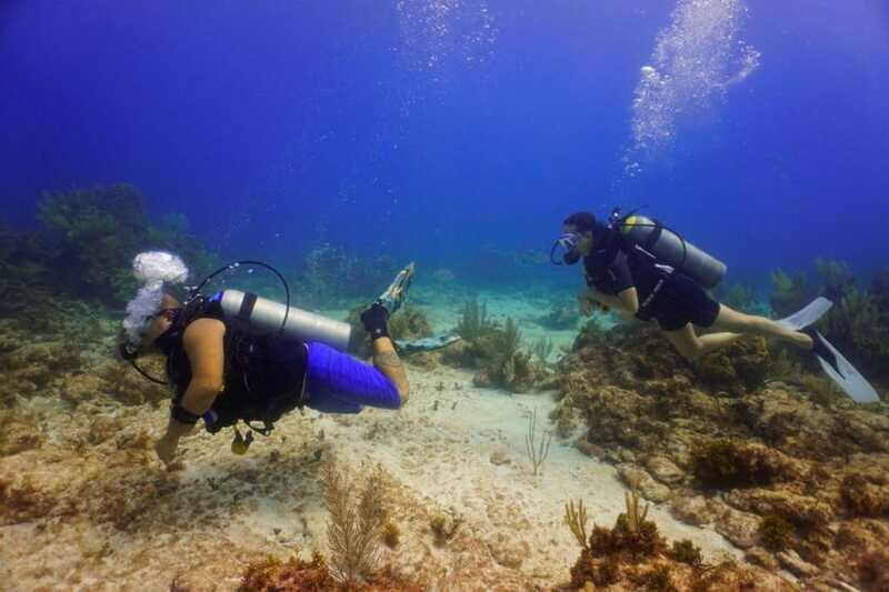 From Cancun: Puerto Morelos Diving Adventure - The Sum Up