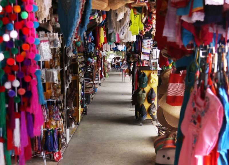 From Cancún: Puerto Morelos Guided Taco Tasting Tour - Final Thoughts: Who Will Love This Tour?