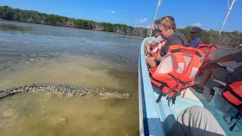 From Cancun: Rio Lagartos and Las Coloradas Day Trip - A Detailed Look at the Experience
