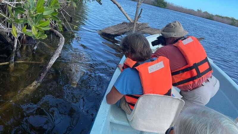 From Cancun: Rio Lagartos and Las Coloradas Day Trip - Who Should Consider This Tour?