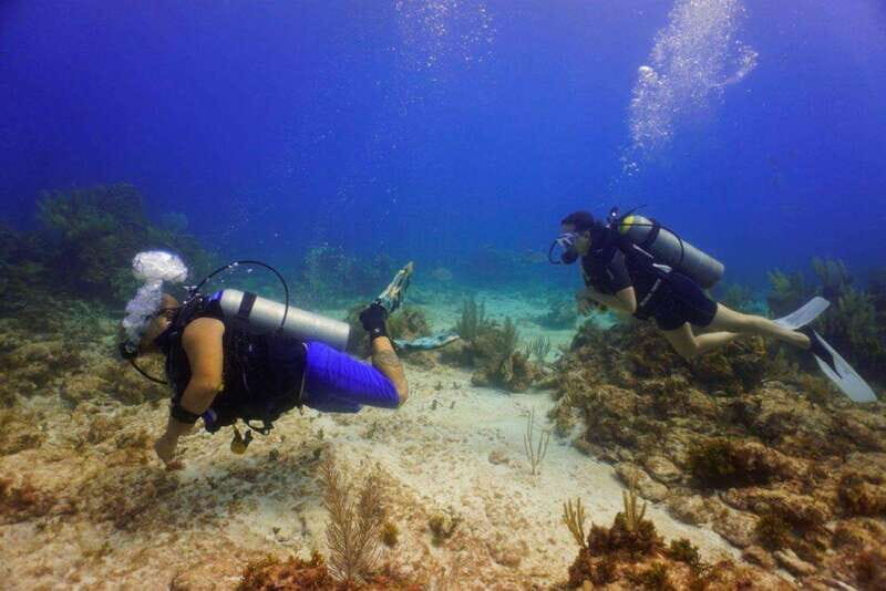 From Cancun: Shipwreck Dives Experience in Puerto Morelos - An Underwater Journey Close to Cancun