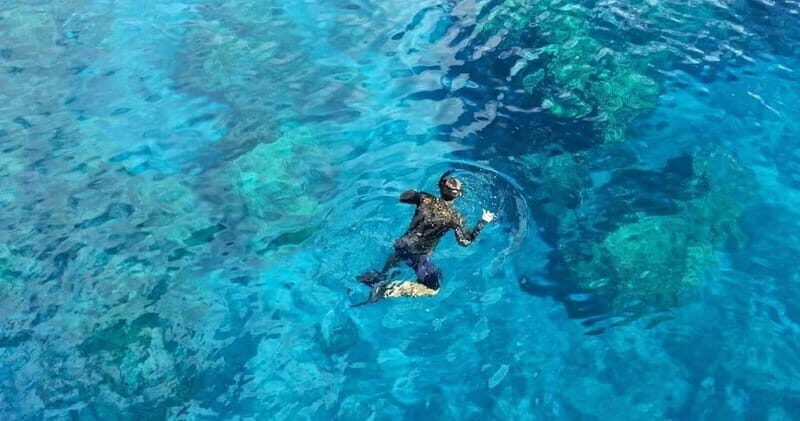 From Cancun: Snorkeling Cozumel The Heaven - From Cancun: Snorkeling Cozumel The Heaven — A Practical Guide to an Unforgettable Underwater Adventure