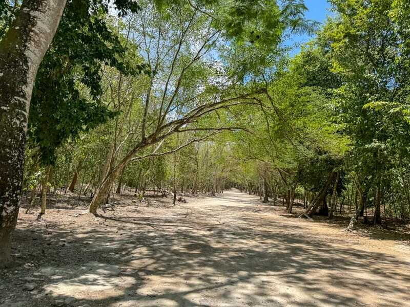 From Cancun: Tulum and Coba Tour with a cenote visit and buffet lunch - The Sum Up