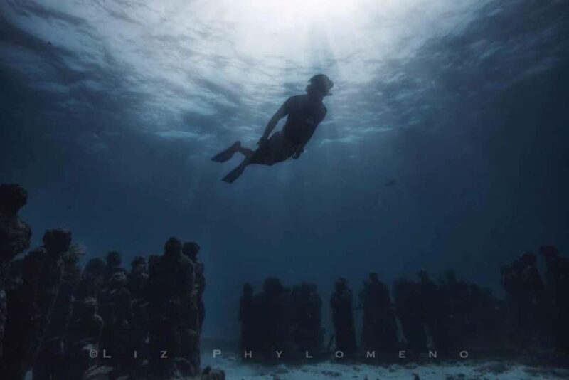 From Cancun: Whale Sharks Snorkeling - Final Thoughts