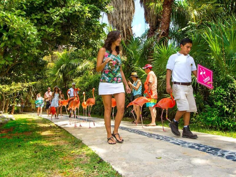 From Cancun: Xcaret Plus Park, the complete experience - Why Choose This Tour?