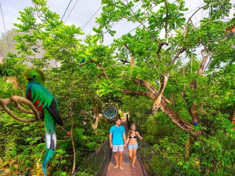 From Cancun: Xcaret Plus Park, the complete experience - Frequently Asked Questions