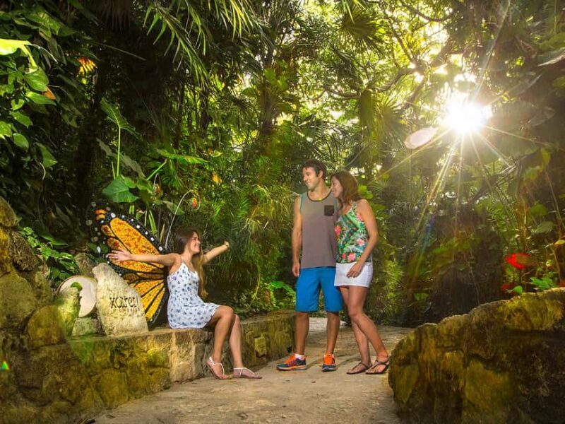 From Cancun: Xcaret Plus Park, the complete experience - The Sum Up