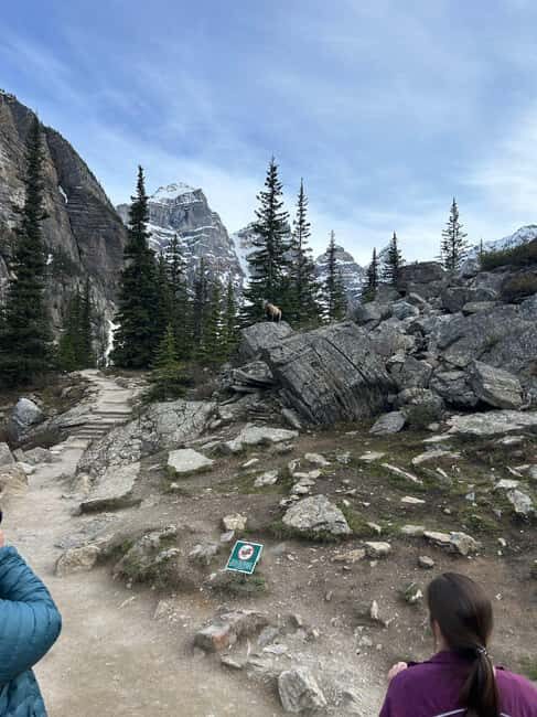 From Canmore/Banff:Moraine Lake & Lake Louise 1.5h per lake - Transportation and Timing: What You Need to Know