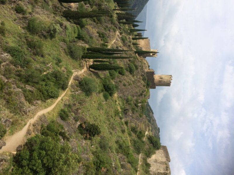 From Carcassonne:Lastours Castles & Carcassonne Guided Tour - An In-Depth Look at the Tour Experience