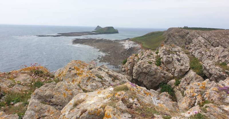 From Cardiff: Mumbles and Gower Peninsular Tour - Key Points