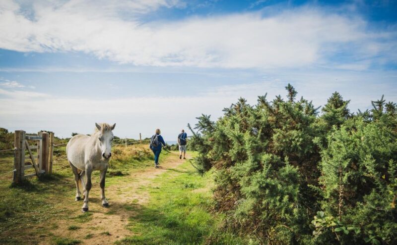 From Cardiff: Mumbles, Three Cliffs, Worms Head Gower Tour - Frequently Asked Questions