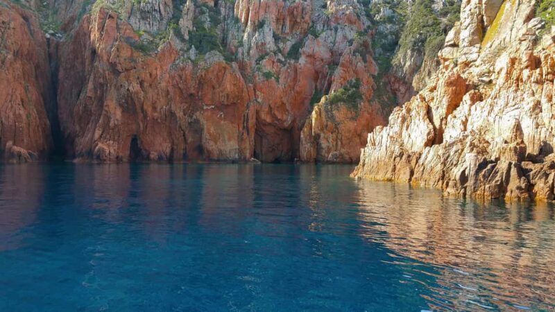 From Cargèse : The Grand Tour of the Gulf - Authentic Experiences and What Travelers Say