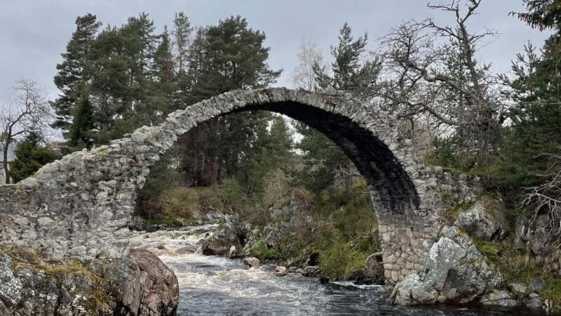 From Carrbridge: Cairngorms, Whisky, and Highland History - Analyzing the Value