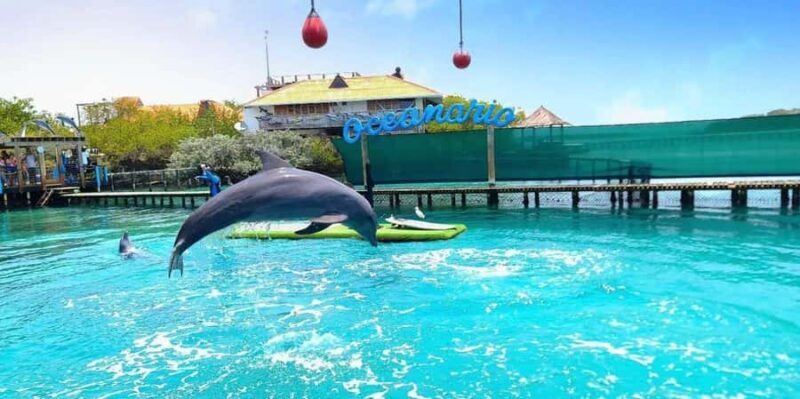 From Cartagena: Full-Day Rosario Islands Tour & Oceanarium - Key Points