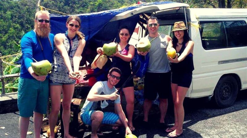 From Castries: St.Lucia Island Guided Tour - From Castries: St. Lucia Island Guided Tour — A Deep Dive into the Island’s Best