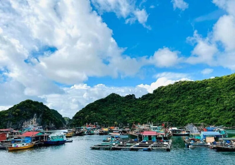 From Cat Ba: Day Trip Explore Lan Ha Bay & Viet Hai Village - FAQs