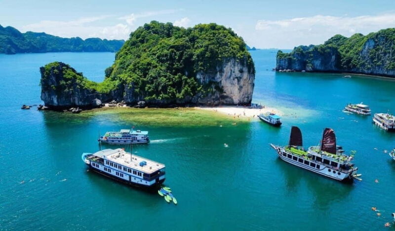 From Cat Ba: Full-day tour explore the stunning Lan Ha Bay - Who Will Love This Tour?