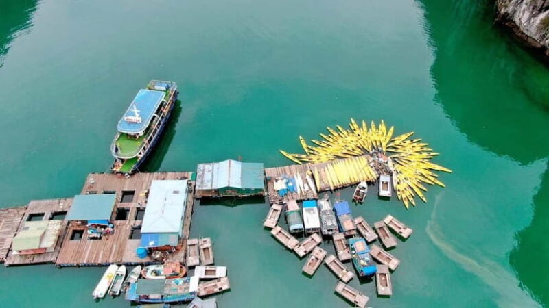 From Cat Ba: Lan Ha Bay Day Cruise with Kayaking and Lunch - The Sum Up: Who Will Love This Tour?