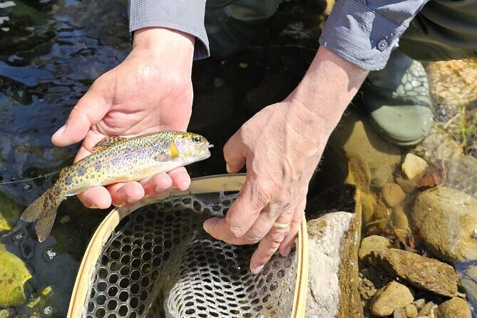 From Catania, Syracuse and Taormina: fly fishing experience - Frequently Asked Questions