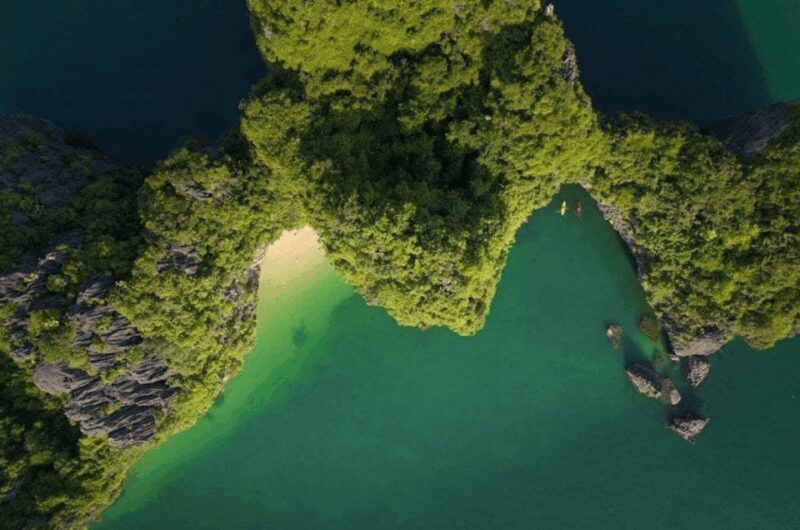 From Catba: Lan Ha Bay - Serenity Premium Cruise with Lunch - Exploring Lan Ha Bay: A Deep Dive