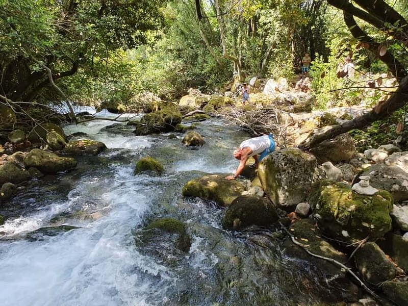 From Cavtat: Konavle Valley Off-Road Jeep Safari with Lunch - Who Should Consider This Tour?