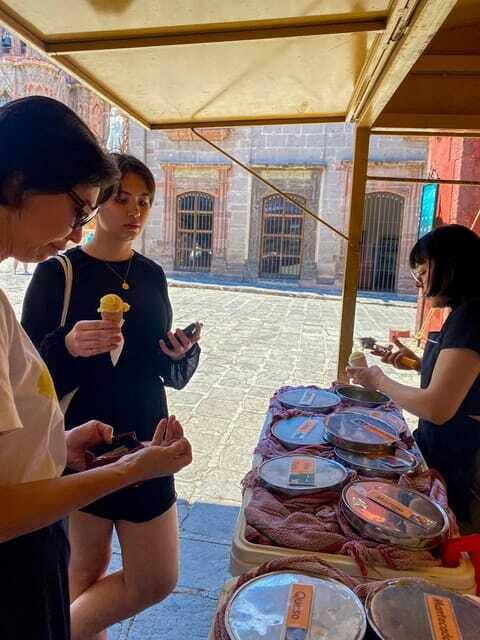 From CDMX: One day tour of colonial San Miguel de Allende - Who Should Consider This Tour?