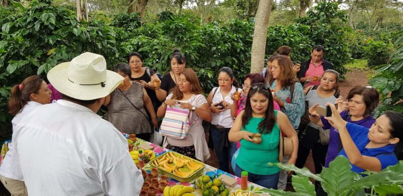 FROM CDMX: Puebla, Oaxaca, Veracruz, Chiapas, Campeche, Yucatan 13 DAYS - FAQ