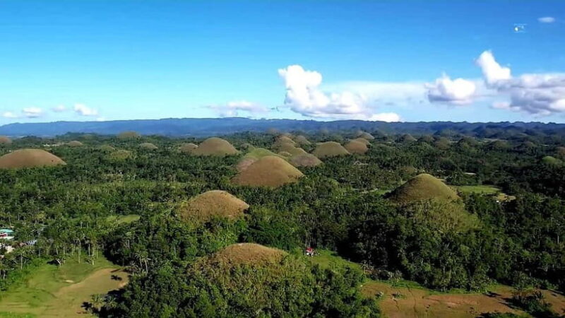 From Cebu: Bohol Countryside & Buffet Lunch Exclusive Tour - Final Thoughts: Who Should Consider This Tour?