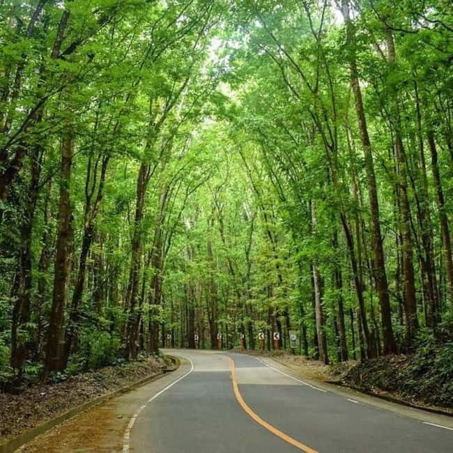 From Cebu: Bohol Countryside Tour Day Trip with Buffet Lunch - FAQ