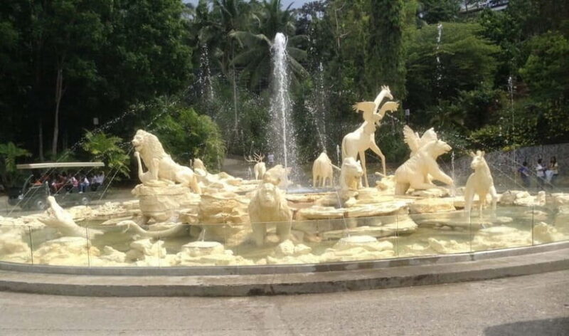 From Cebu City: Cebu Safari and Adventure Park Day Tour - Key Points