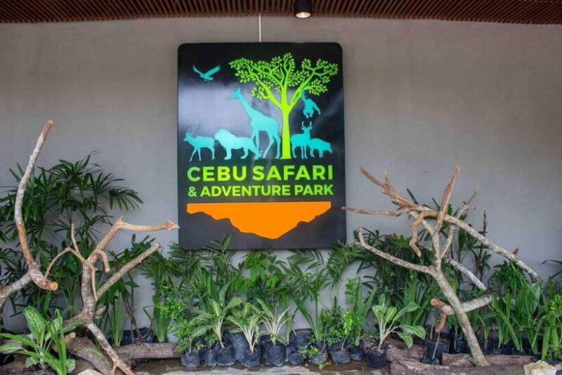 From Cebu City: Cebu Safari and Adventure Park Day Tour - Animal Encounters and Shows