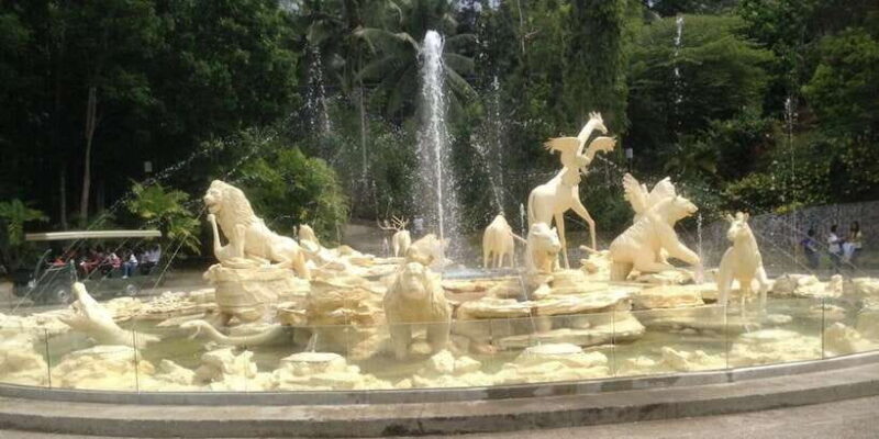 From Cebu City: Cebu Safari and Adventure Park Day Tour - Practical Details and Participant Experience