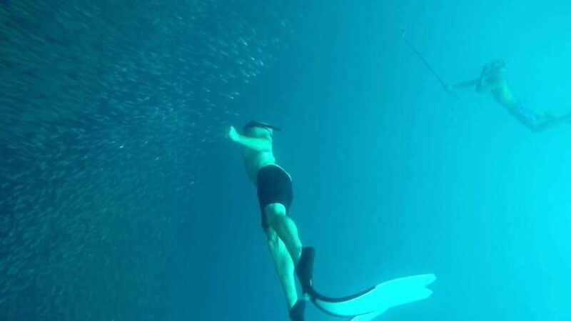 From Cebu City: Moalboal Pescador Snorkeling Tour + Lunch - The Sum Up