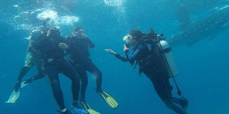 From Cebu City: Scuba Diving with Whale Sharks Trip in Oslob - Who Should Consider This Tour?