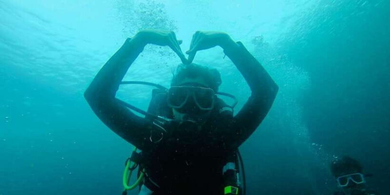 From Cebu City: Scuba Diving with Whale Sharks Trip in Oslob - FAQ