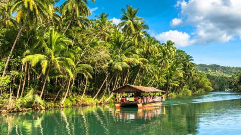 From Cebu: Full-Day Bohol Excursion - In-Depth Review of the Full-Day Bohol Excursion from Cebu