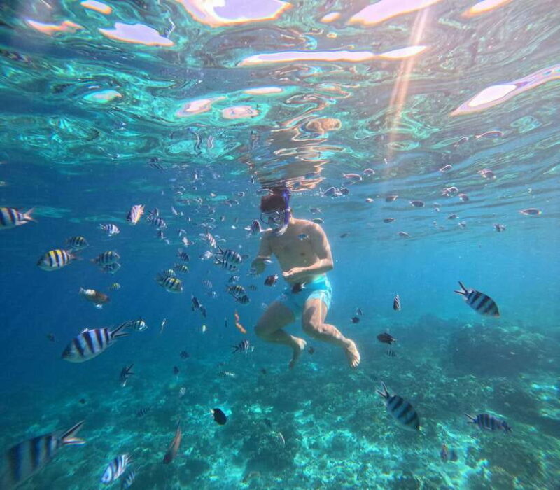 From Cebu: Island Hopping to 3 islands with BBQ lunch - Key Points