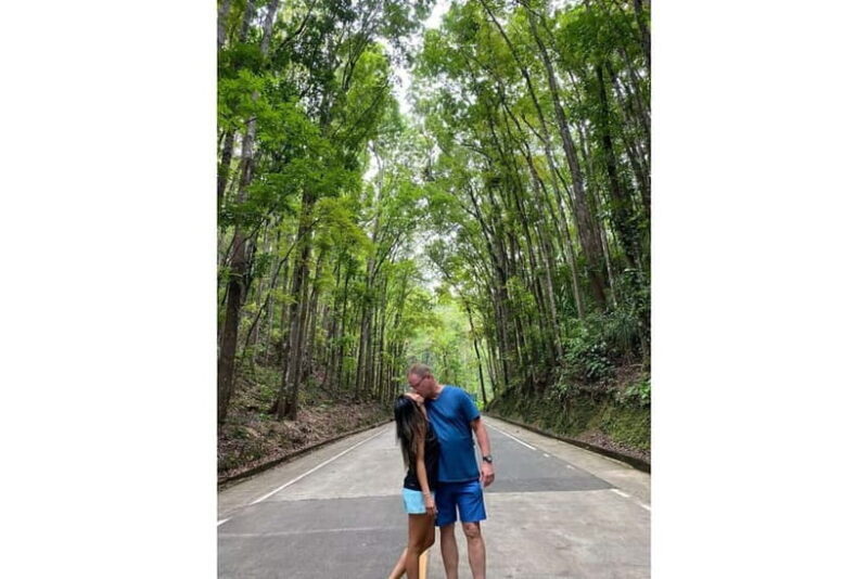 From Cebu:Bohol Bucket List Countryside Adventure with Lunch - Who Should Consider This Tour?