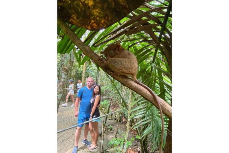 From Cebu:Bohol Bucket List Countryside Adventure with Lunch - Final Thoughts