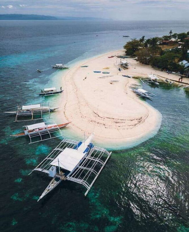 From Cebu:Pamilacan, Virgin Island, Dolphin Watching & Lunch - Exploring the Tour Experience: A Practical Guide