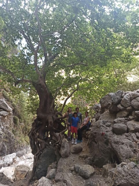From Chania: Agia Irini Gorge Hike & Beach Relaxation - FAQ