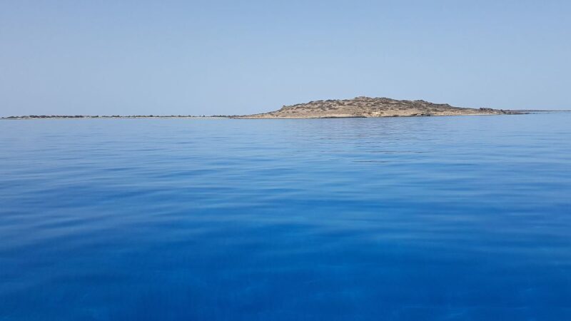From Chania Area: Day Trip to Elafonisi Island by Bus - Who Should Consider This Tour?