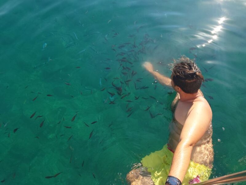 From Chania: Boat Trip to Lazaretta Island with Swim Stop - Who Should Consider This Tour?