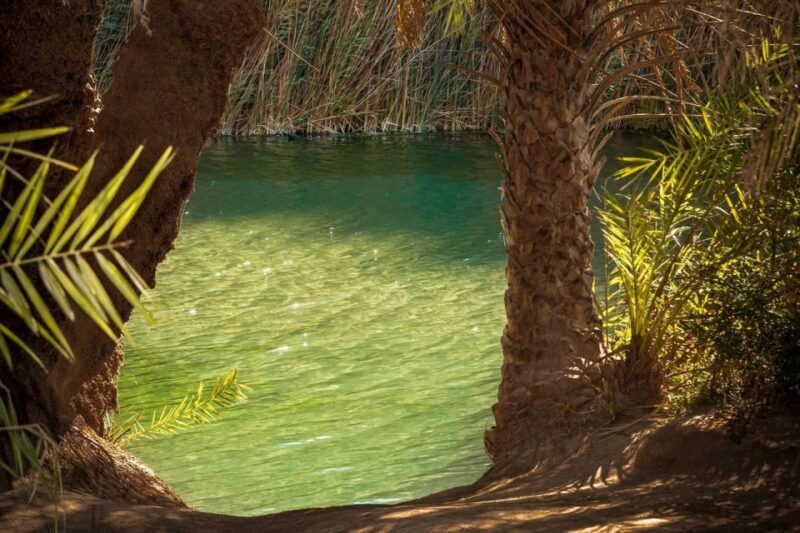 From Chania: Day Trip to Preveli Beach & Damnoni Beach - Frequently Asked Questions