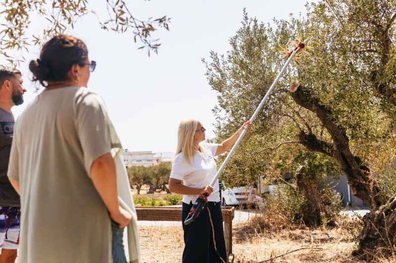From Chania: Elafonisi and Falasarna Guided Tour with Snacks - Final Thoughts on the Value