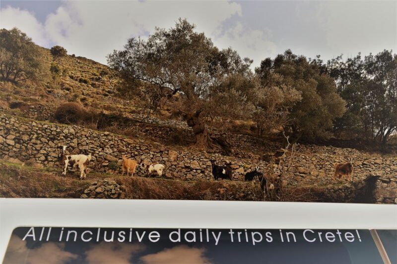 From Chania: Elafonisi & Falasarna Private Tour with snacks - Exploring the Crete Coastline in Comfort and Style