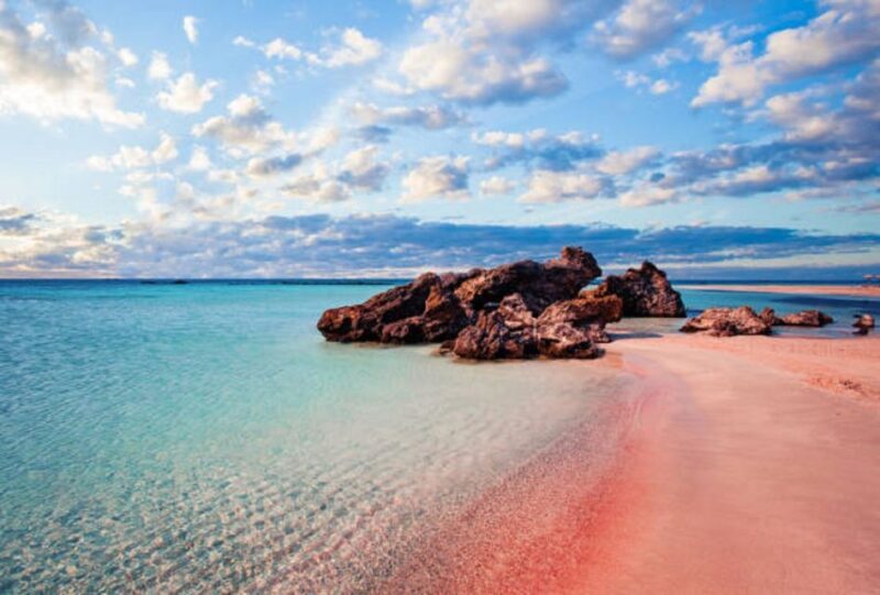 From Chania: Elafonisi Island Day Tour by Bus - The Experience From a Traveler’s Perspective